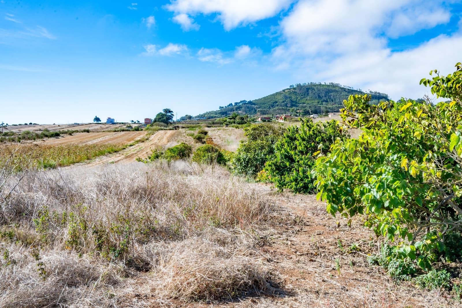 Undeveloped Land for sale in San Cristobal de La Laguna - € 99,000 (Ref: 9301092)