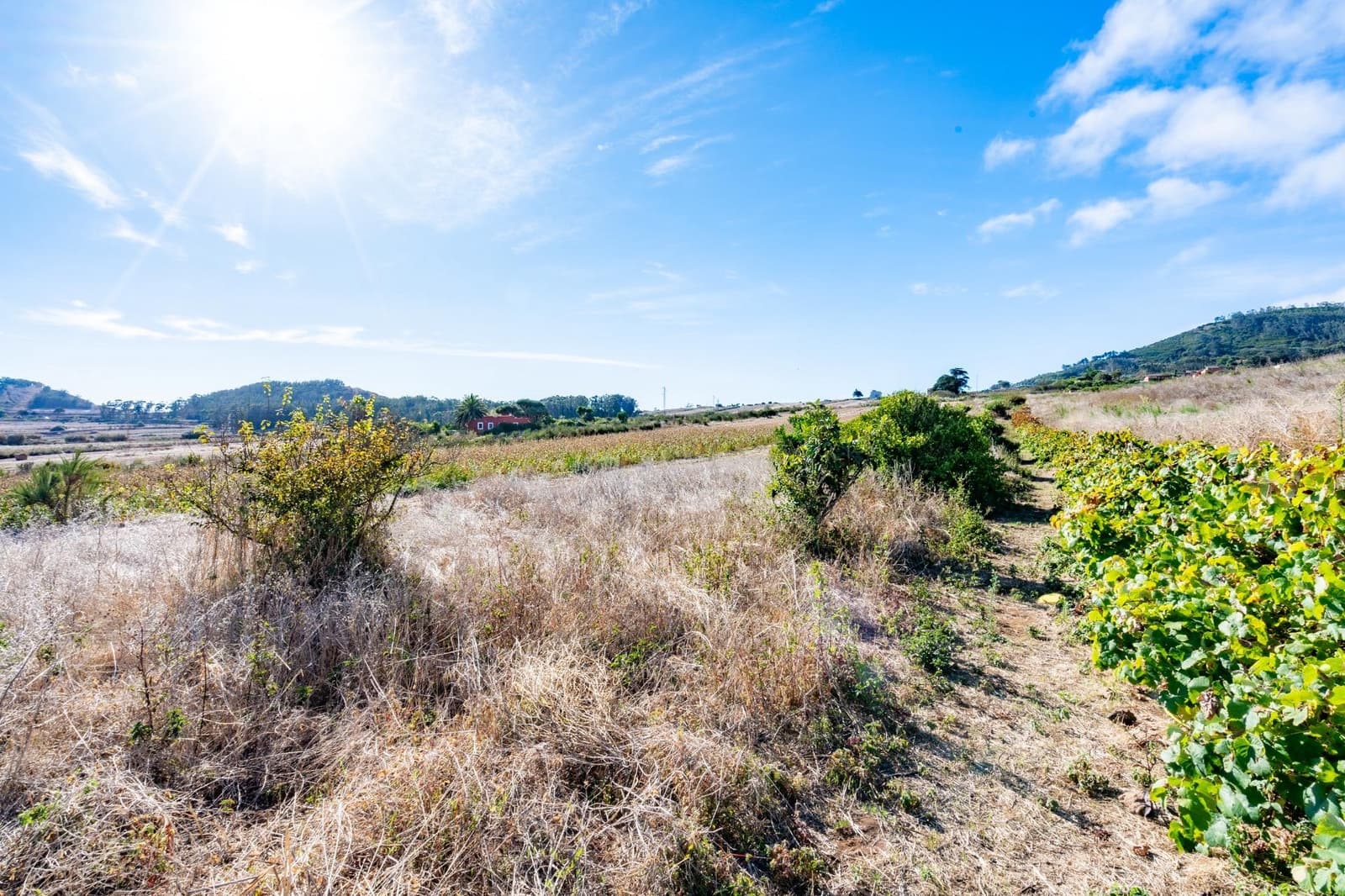 Undeveloped Land for sale in San Cristobal de La Laguna - € 99,000 (Ref: 9301092)