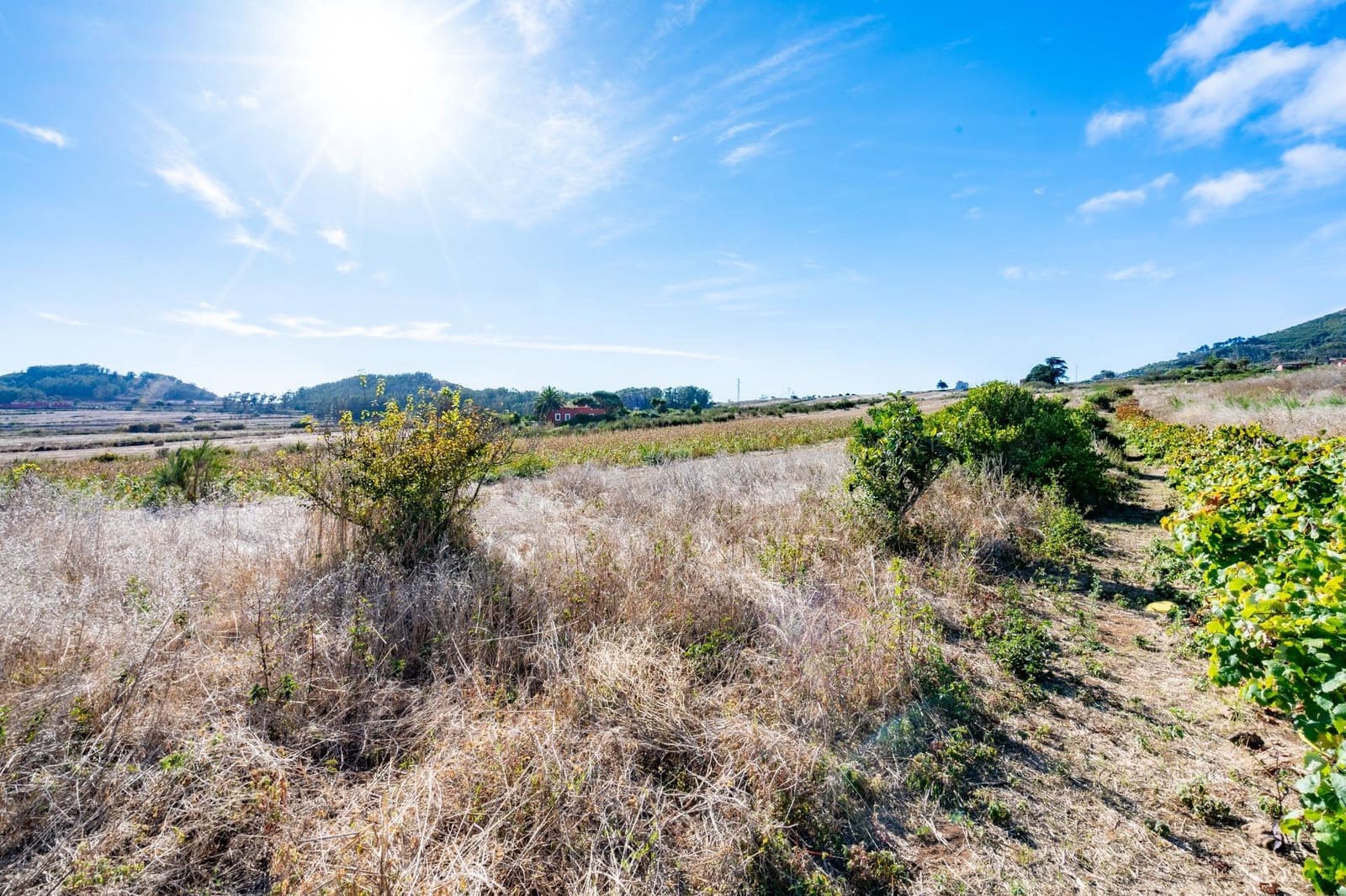 Undeveloped Land for sale in San Cristobal de La Laguna - € 99,000 (Ref: 9301092)