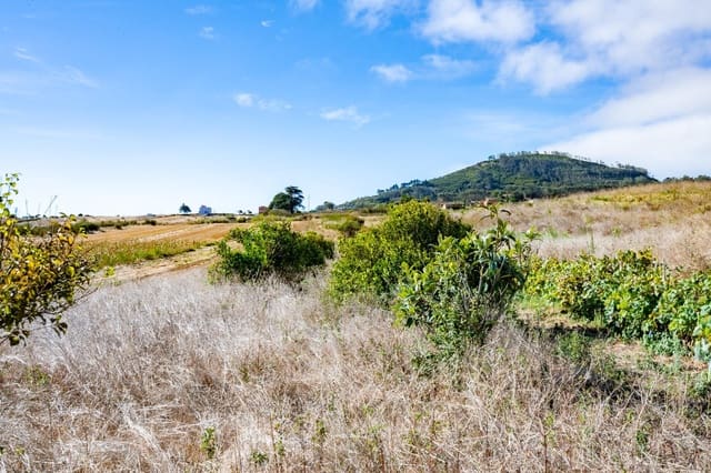 Undeveloped Land for sale in San Cristóbal de La Laguna - € 99,000 (Ref: 9301092)