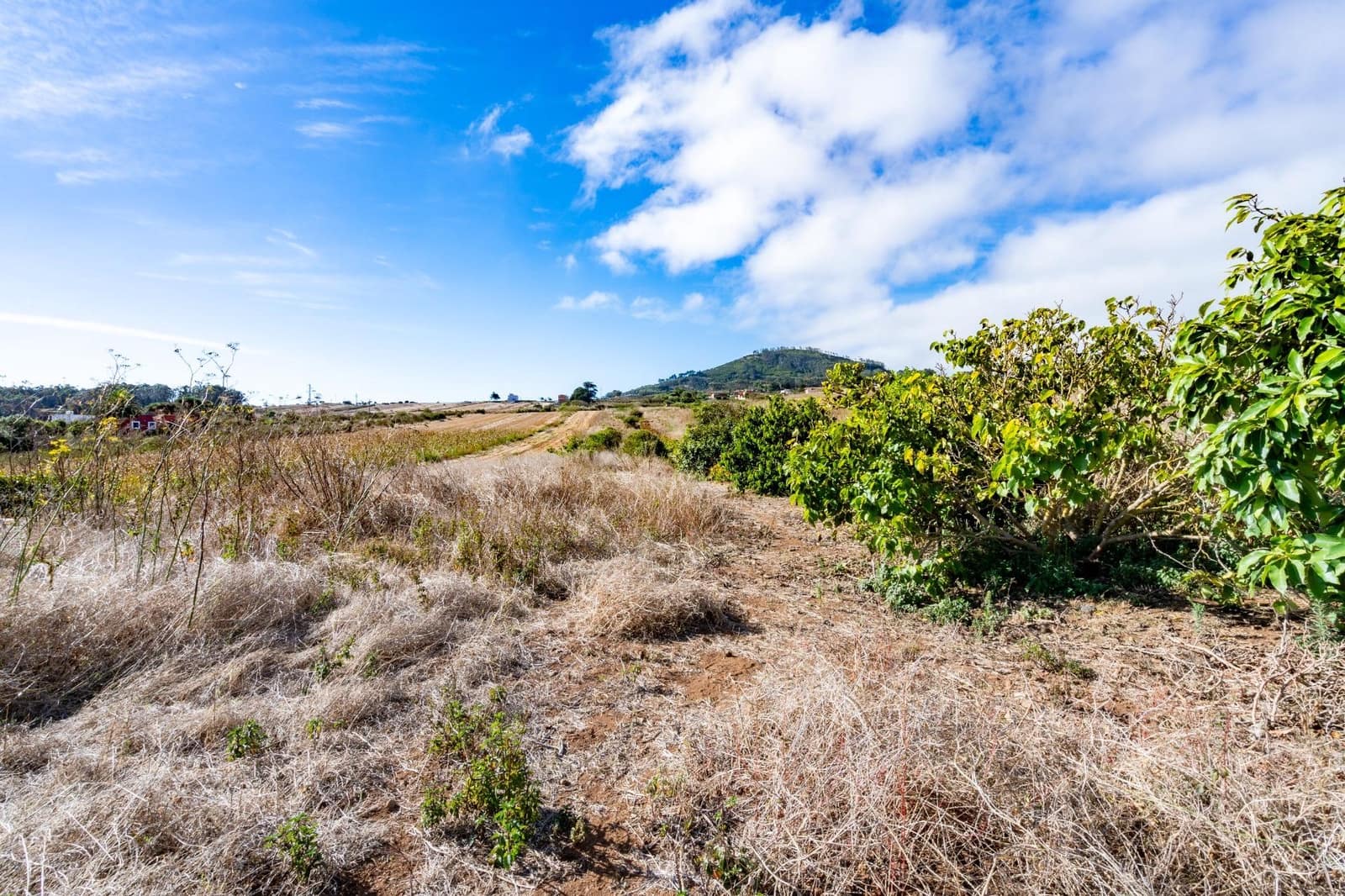 Undeveloped Land for sale in San Cristobal de La Laguna - € 99,000 (Ref: 9301092)