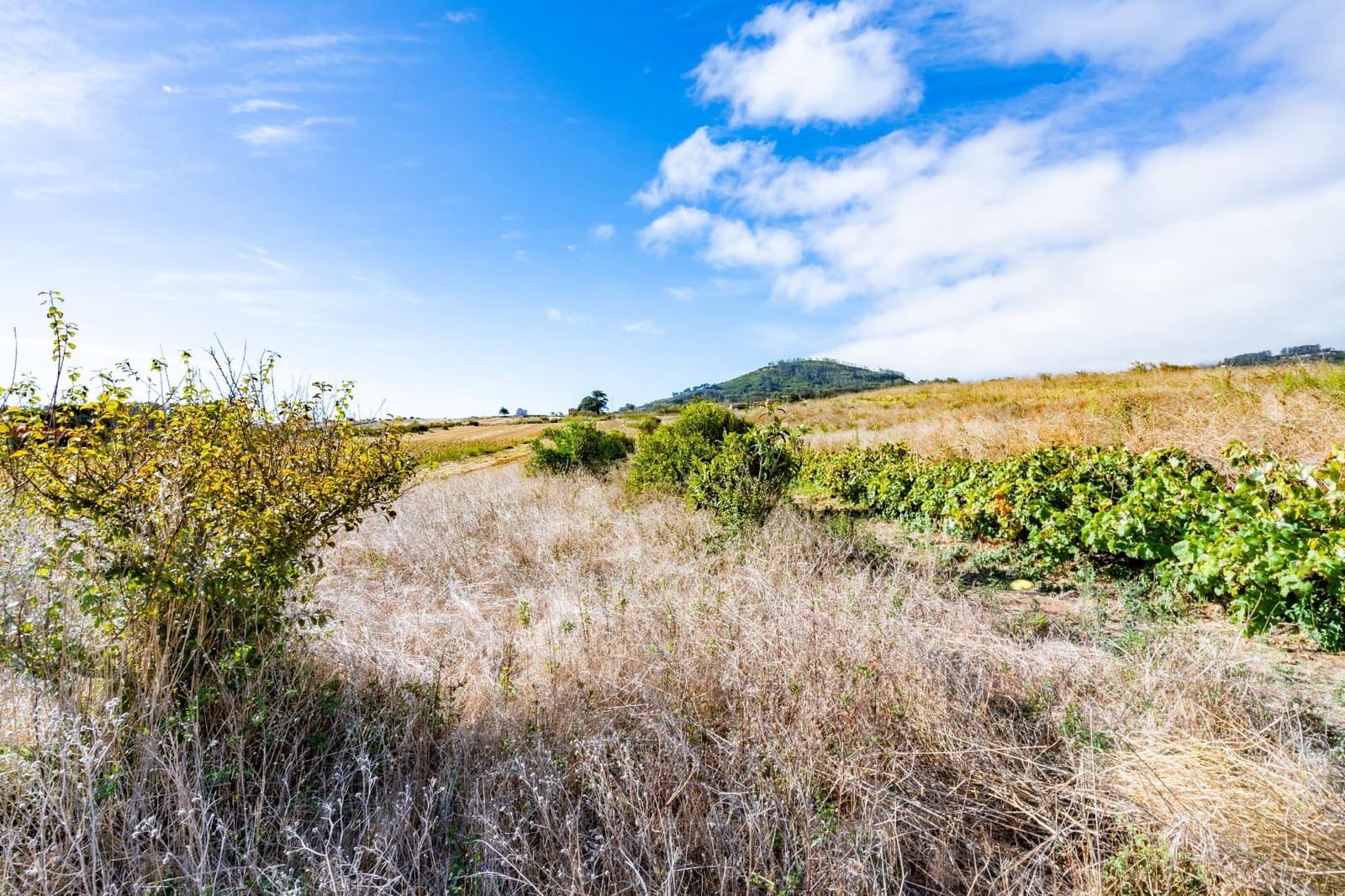 Undeveloped Land for sale in San Cristobal de La Laguna - € 99,000 (Ref: 9301092)