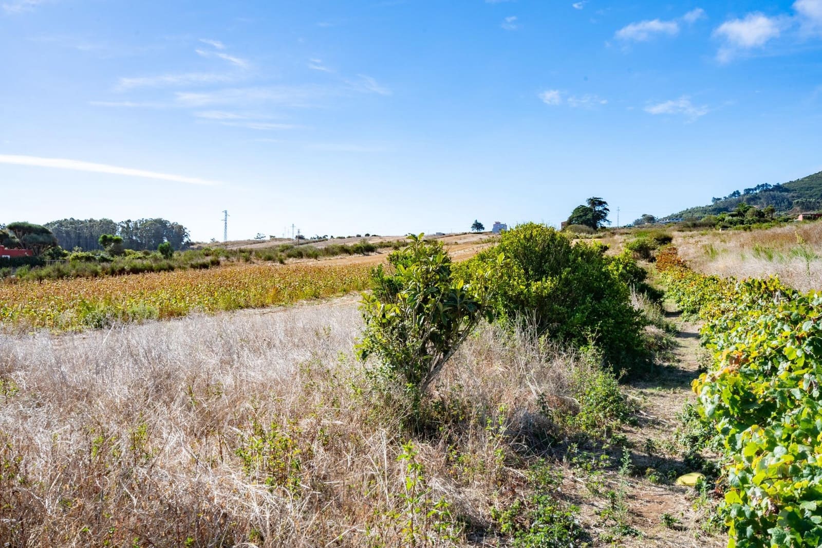 Undeveloped Land for sale in San Cristobal de La Laguna - € 99,000 (Ref: 9301092)