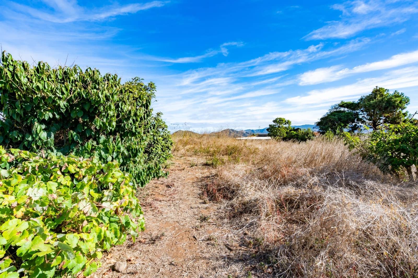 Undeveloped Land for sale in San Cristobal de La Laguna - € 99,000 (Ref: 9301092)