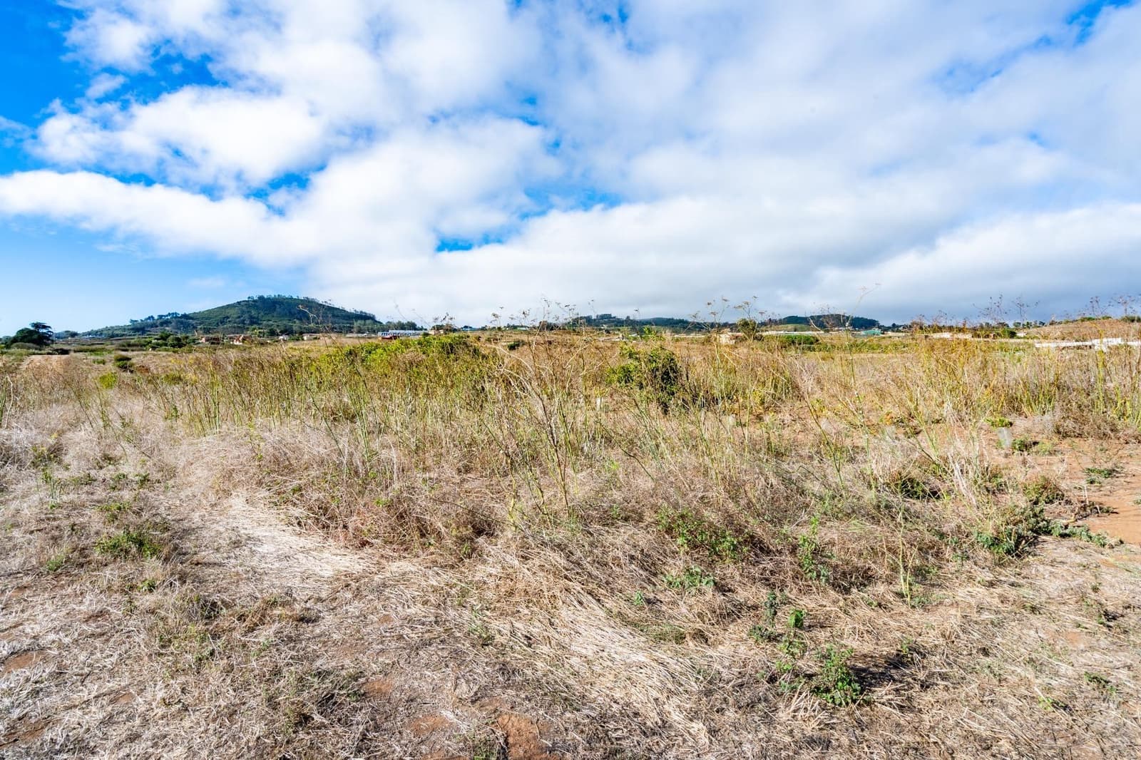 Undeveloped Land for sale in San Cristobal de La Laguna - € 99,000 (Ref: 9301092)