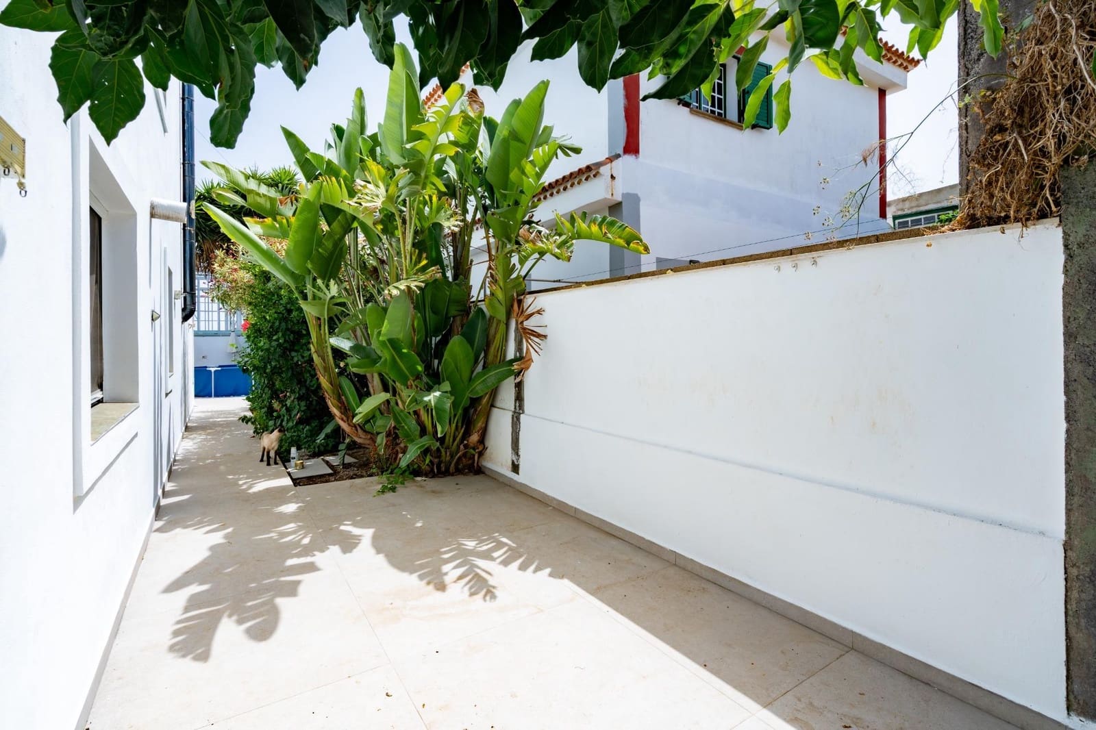 4 slaapkamer Appartement te koop in San Cristobal de La Laguna - € 590.000 (Ref: 9330699)