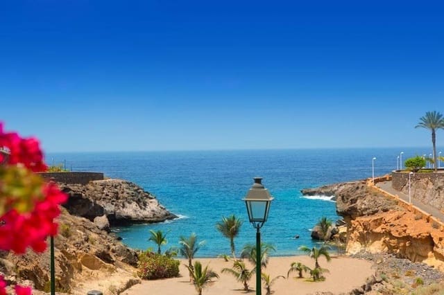 Local Comercial en Playa Paraiso, Adeje en venta - 499.000 € (Ref: 9401164)