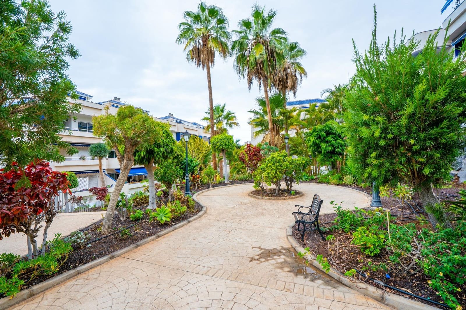 2 bedroom Apartment for sale in Los Cristianos with pool - € 485,000 (Ref: 9449382)