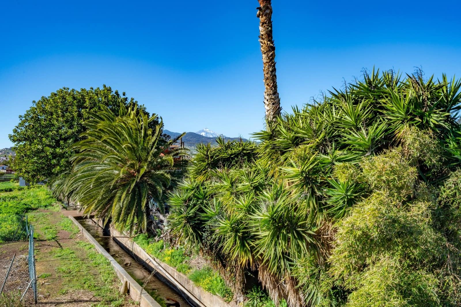 3 bedroom Villa for sale in San Cristobal de La Laguna - € 397,000 (Ref: 9583005)