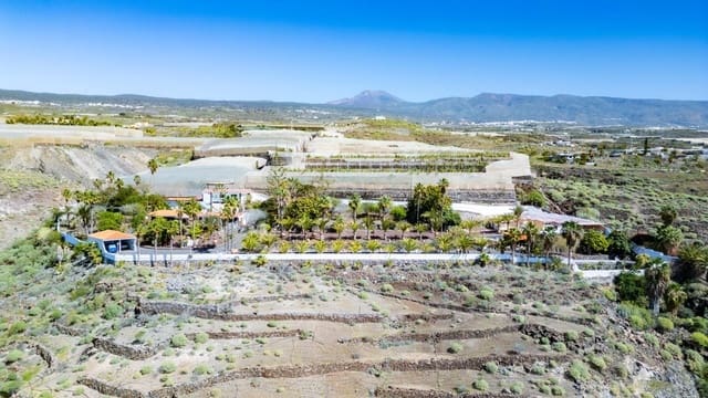 11 makuuhuone Huvila myytävänä paikassa Alcala, Guía de Isora mukana uima-altaan - 2 799 000 € (Ref: 9619359)