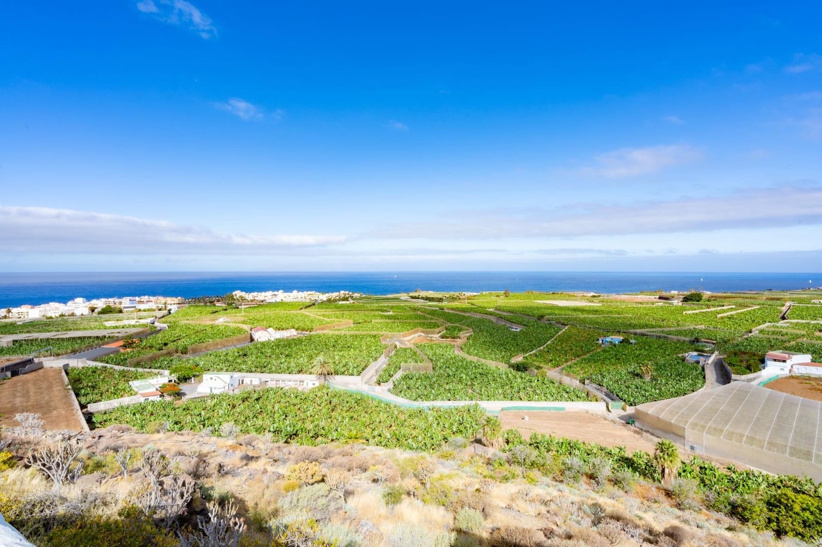 11 soveværelse Villa til salg i Alcala med swimmingpool - € 2.799.000 (Ref: 9619359)