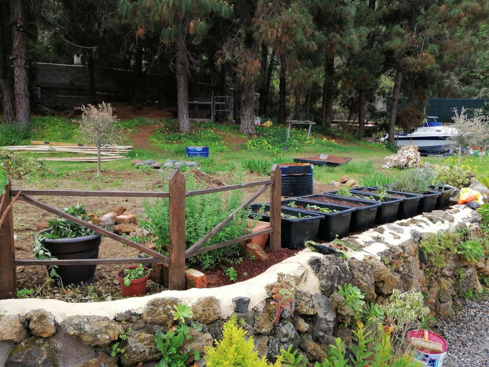 3 slaapkamer Finca/Landhuis te koop in Icod de los Vinos - € 318.000 (Ref: 9677556)