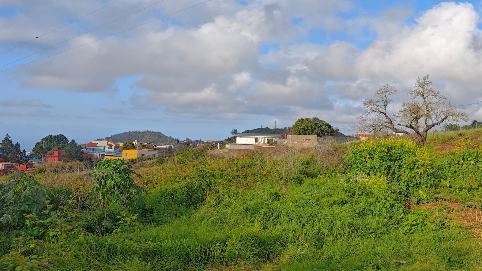 Building Plot for sale in Tacoronte - € 128,000 (Ref: 9698865)