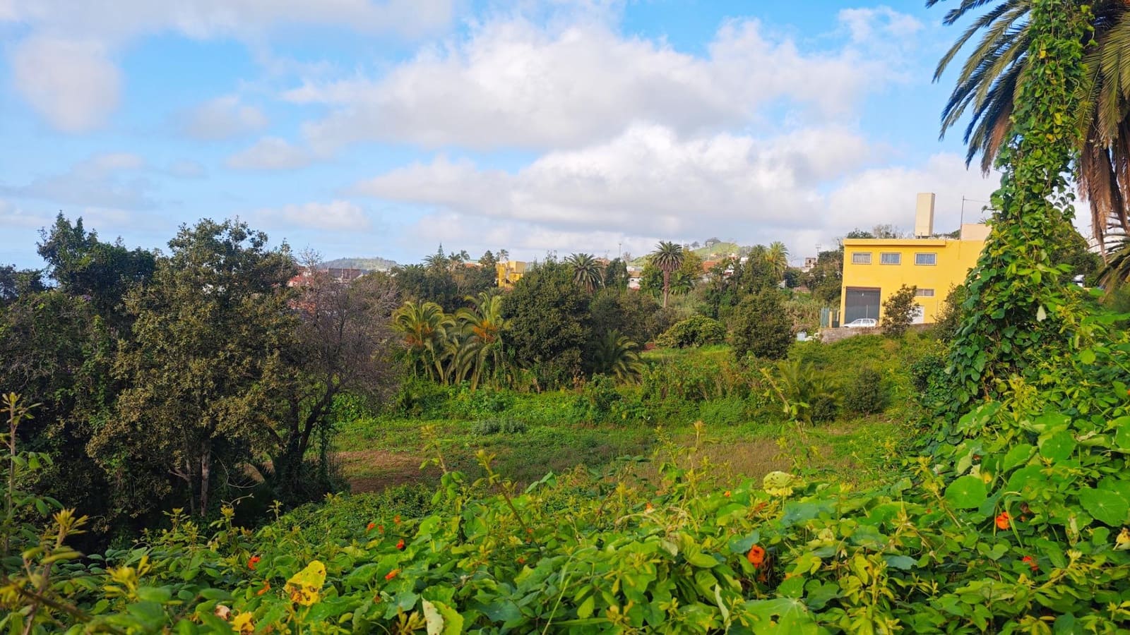 Building Plot for sale in Tacoronte - € 350,000 (Ref: 9698866)