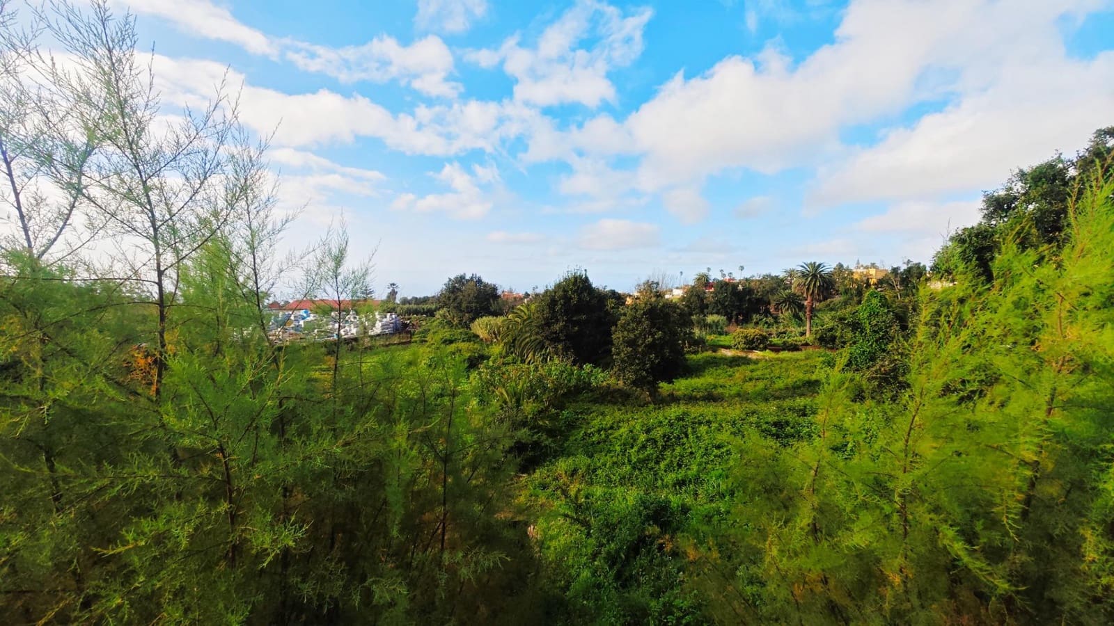 Building Plot for sale in Tacoronte - € 350,000 (Ref: 9698866)