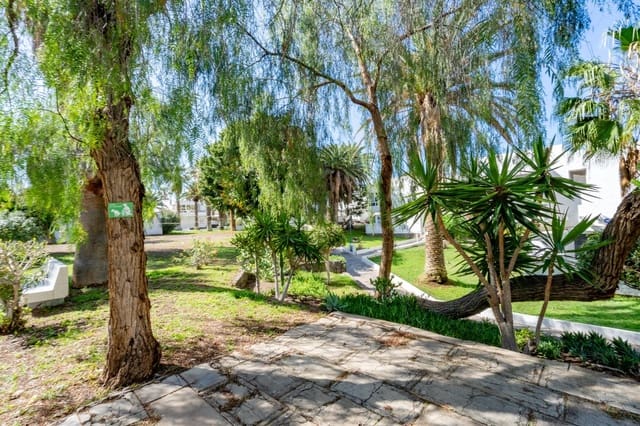 1 Zimmer Studio zu vermieten in Arona mit Pool - 800 € (Ref: 9732208)