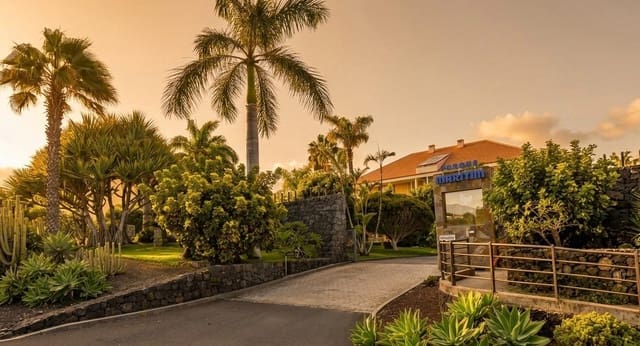 Local Comercial de 1 habitación en Los Realejos en venta con garaje - 240.000 € (Ref: 9804380)