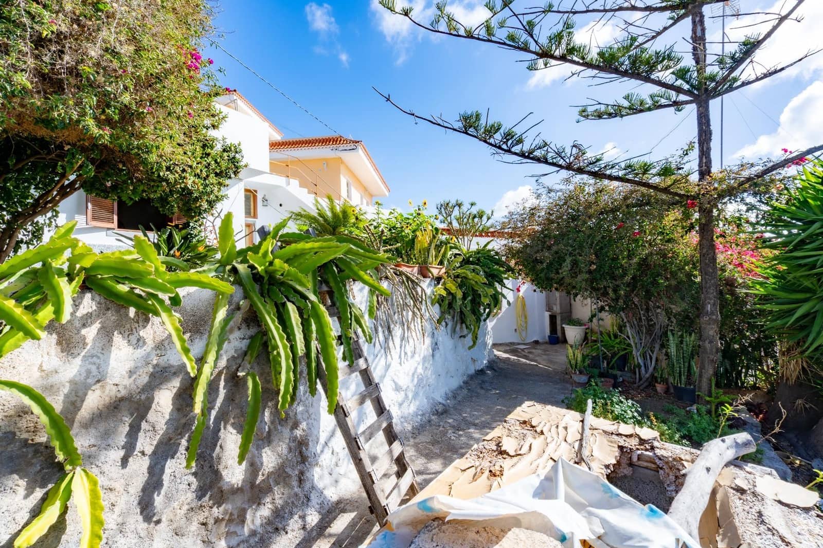 6 quarto Quinta/Casa Rural para venda em Granadilla de Abona com garagem - 809 000 € (Ref: 9811987)