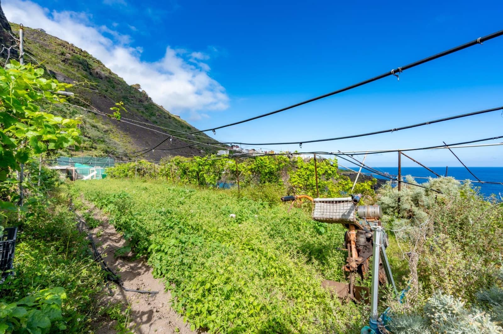 Building Plot for sale in Garachico - € 180,000 (Ref: 9825334)