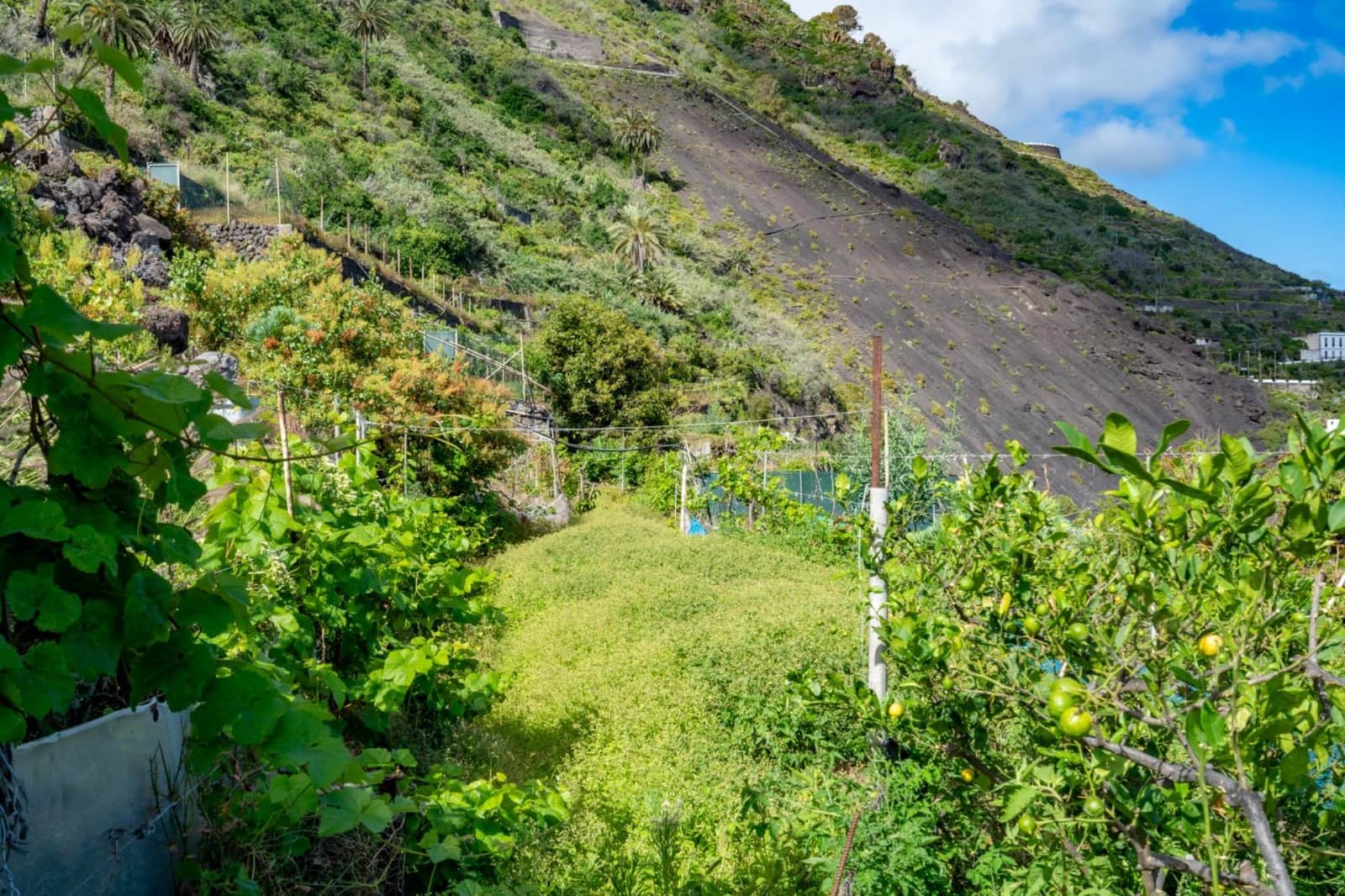 Building Plot for sale in Garachico - € 180,000 (Ref: 9825334)
