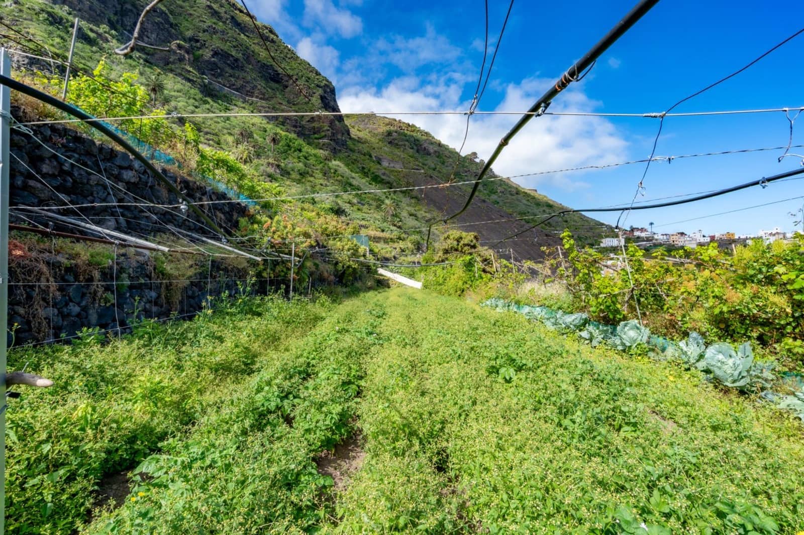 Building Plot for sale in Garachico - € 180,000 (Ref: 9825334)