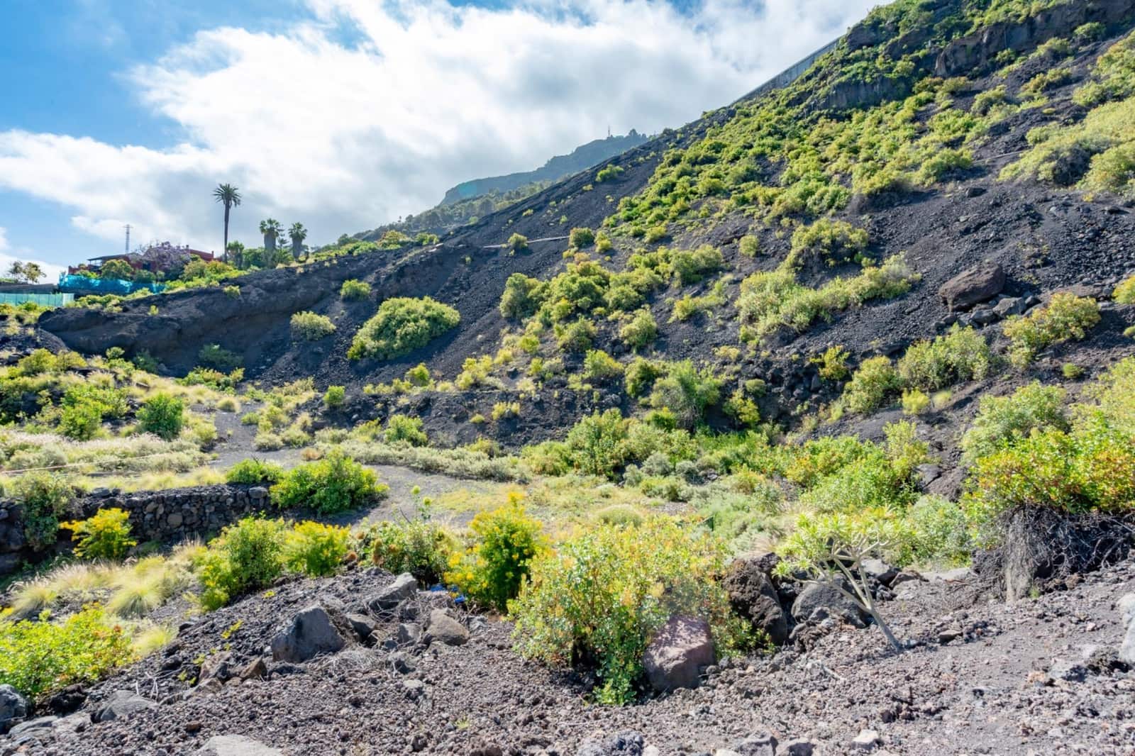 Building Plot for sale in Garachico - € 180,000 (Ref: 9825334)