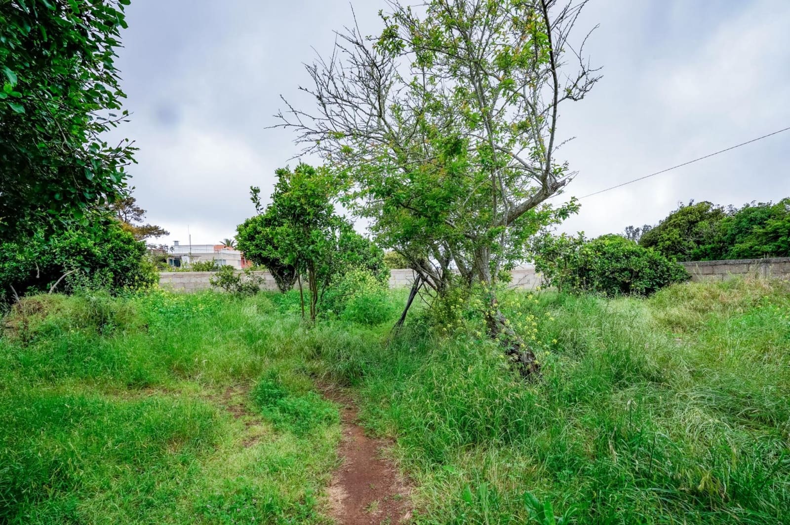 9 quarto Quinta/Casa Rural para venda em San Cristobal de La Laguna com garagem - 750 000 € (Ref: 9851854)