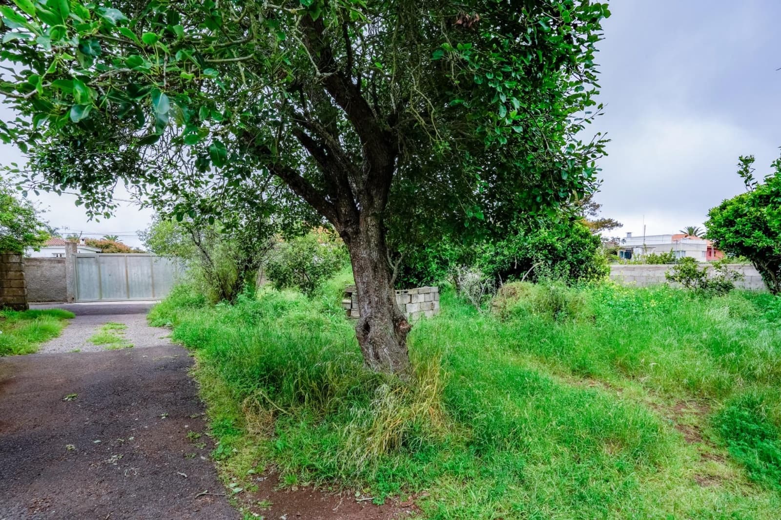 9 quarto Quinta/Casa Rural para venda em San Cristobal de La Laguna com garagem - 750 000 € (Ref: 9851854)