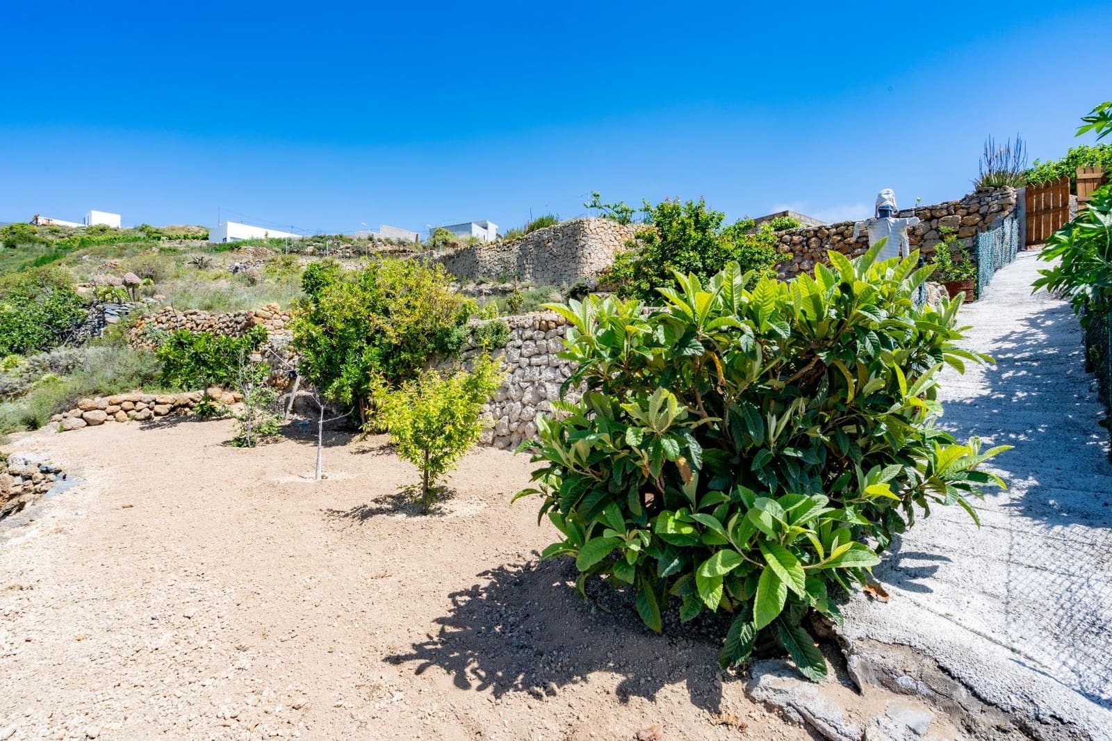 3 Zimmer Finca/Landgut zu verkaufen in Fasnia mit Garage - 198.000 € (Ref: 9867082)