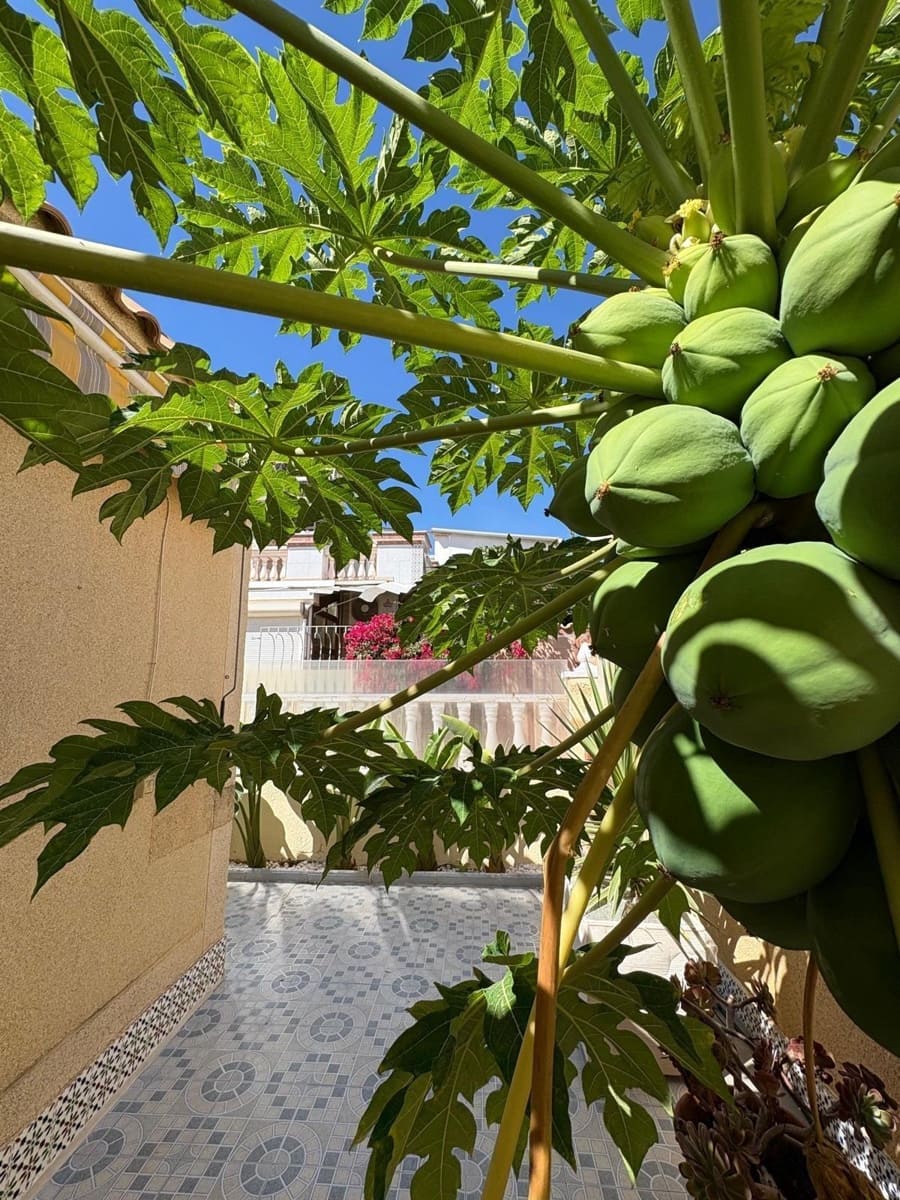 2 sovrum Radhus till salu i Torrevieja med pool - 157 000 € (Ref: 10100239)