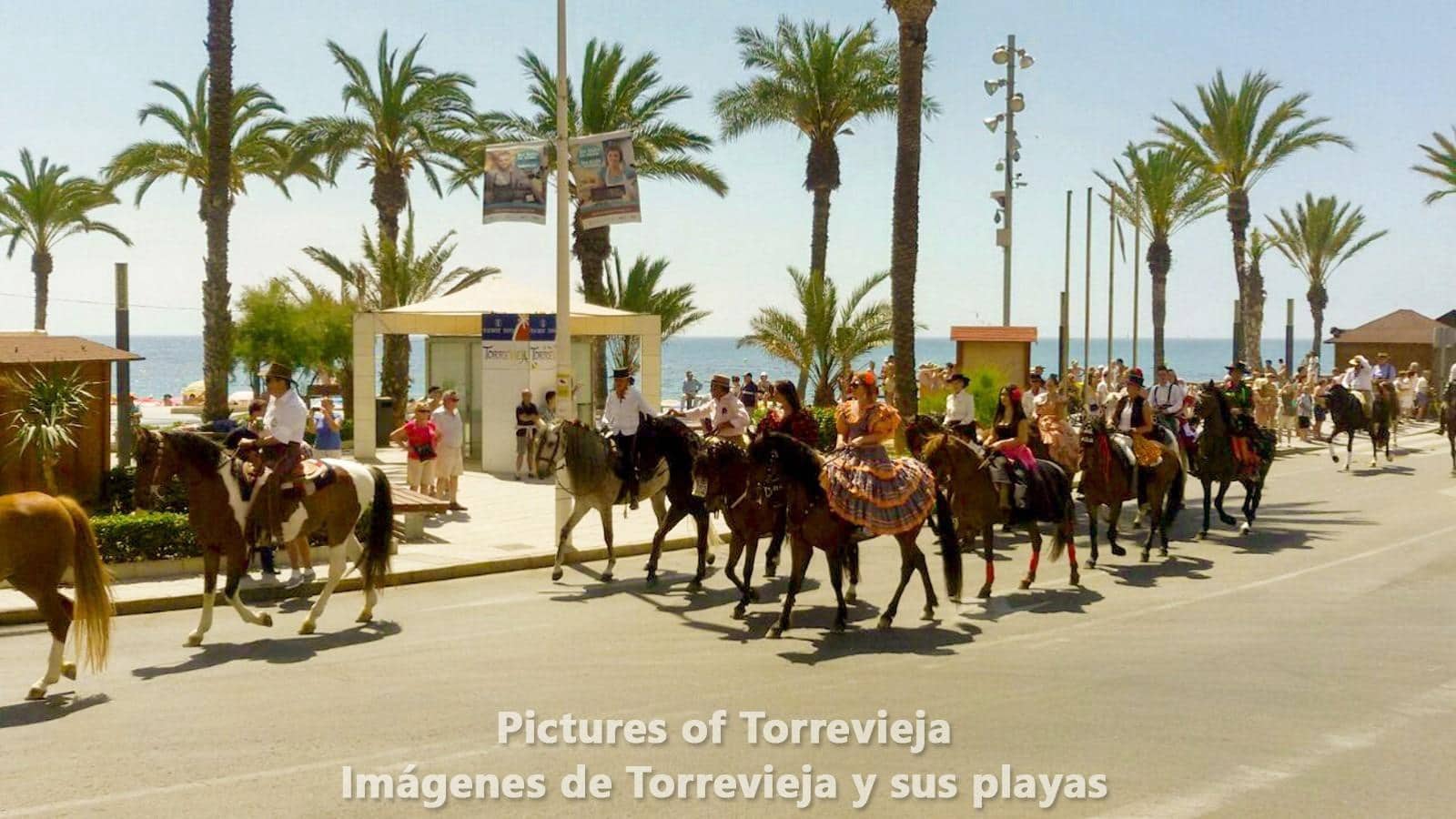 Garaje en Torrevieja en venta - 5.700 € (Ref: 9462118)