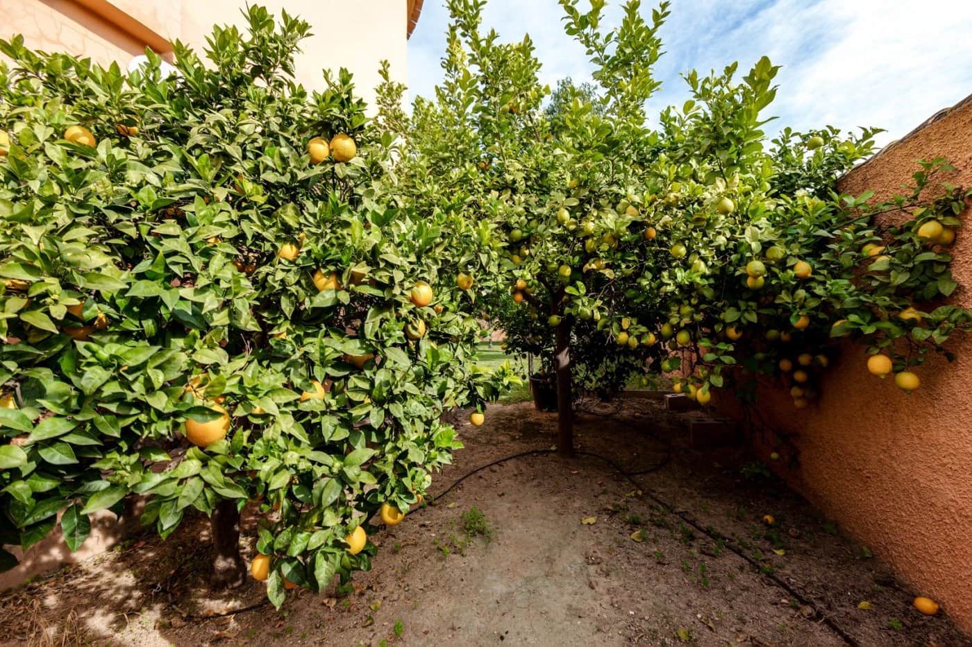 5 sypialnia Willa na sprzedaż w San Luis z basenem garażem - 850 000 € (Ref: 9462124)