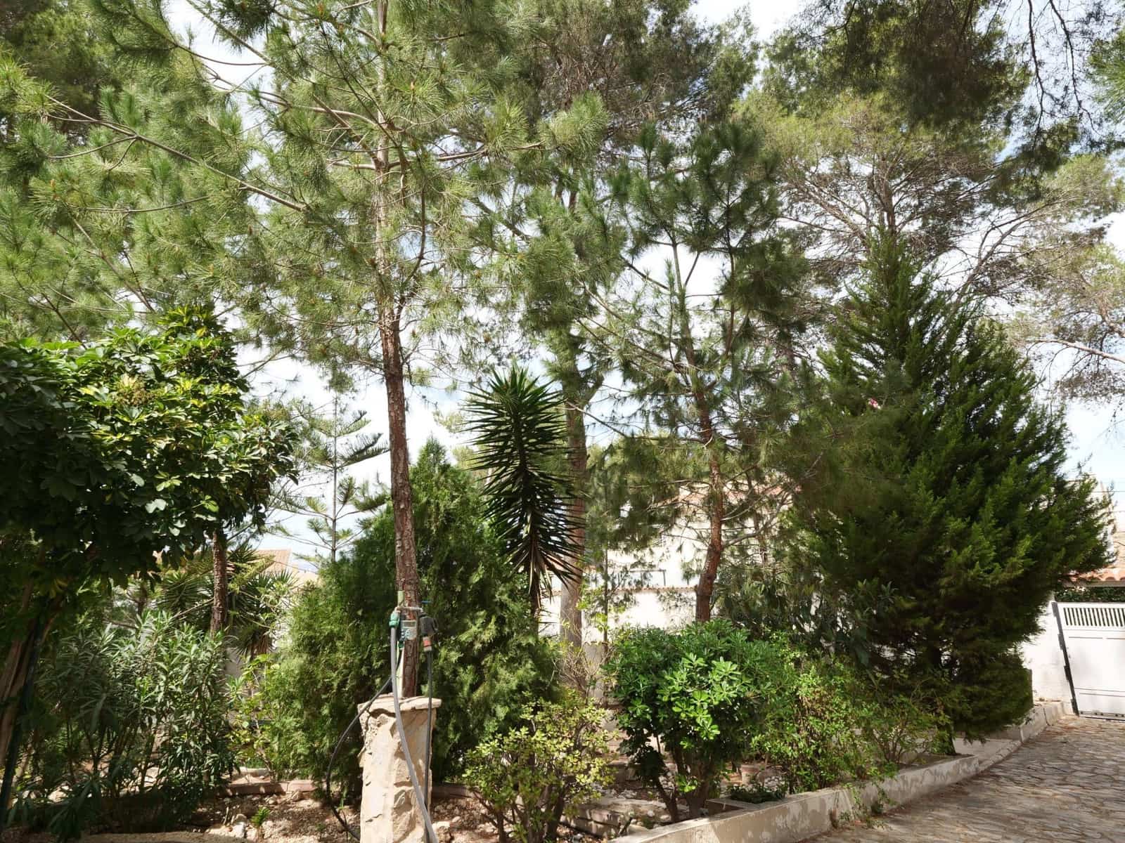 6 sypialnia Willa na sprzedaż w Los Balcones z basenem garażem - 499 000 € (Ref: 9462172)