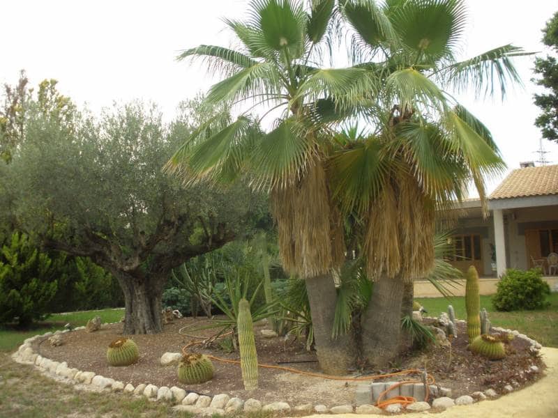 Chalet de 5 habitaciones en Elche / Elx en venta con piscina garaje - 690.000 € (Ref: 9462177)