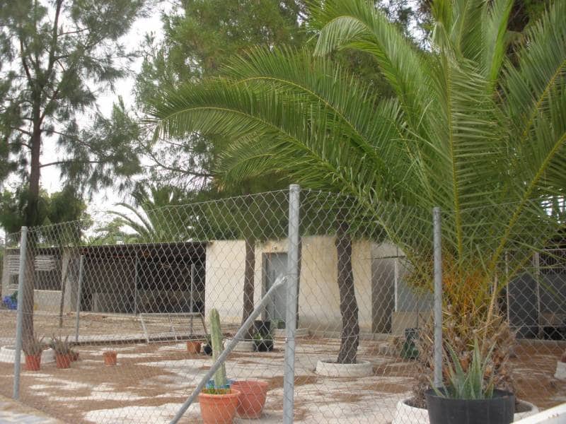 Chalet de 5 habitaciones en Elche / Elx en venta con piscina garaje - 690.000 € (Ref: 9462177)