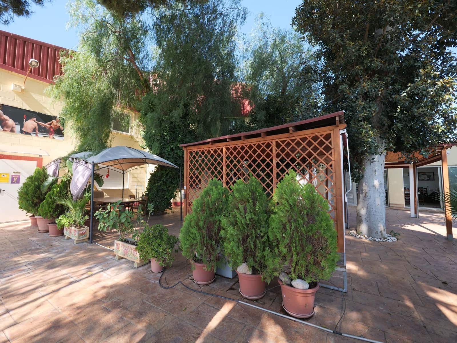 Business for sale in Almoradi - € 725,000 (Ref: 9462188)