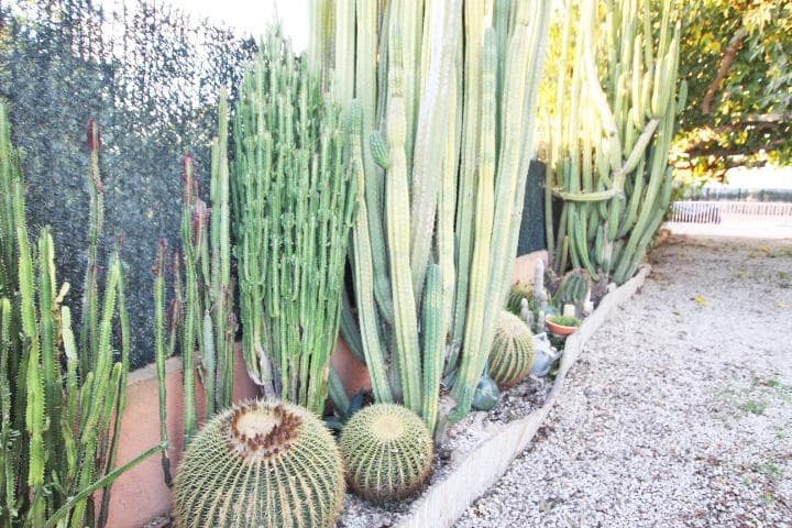 5 slaapkamer Finca/Landhuis te koop in Almoradi met zwembad - € 271.000 (Ref: 9462205)