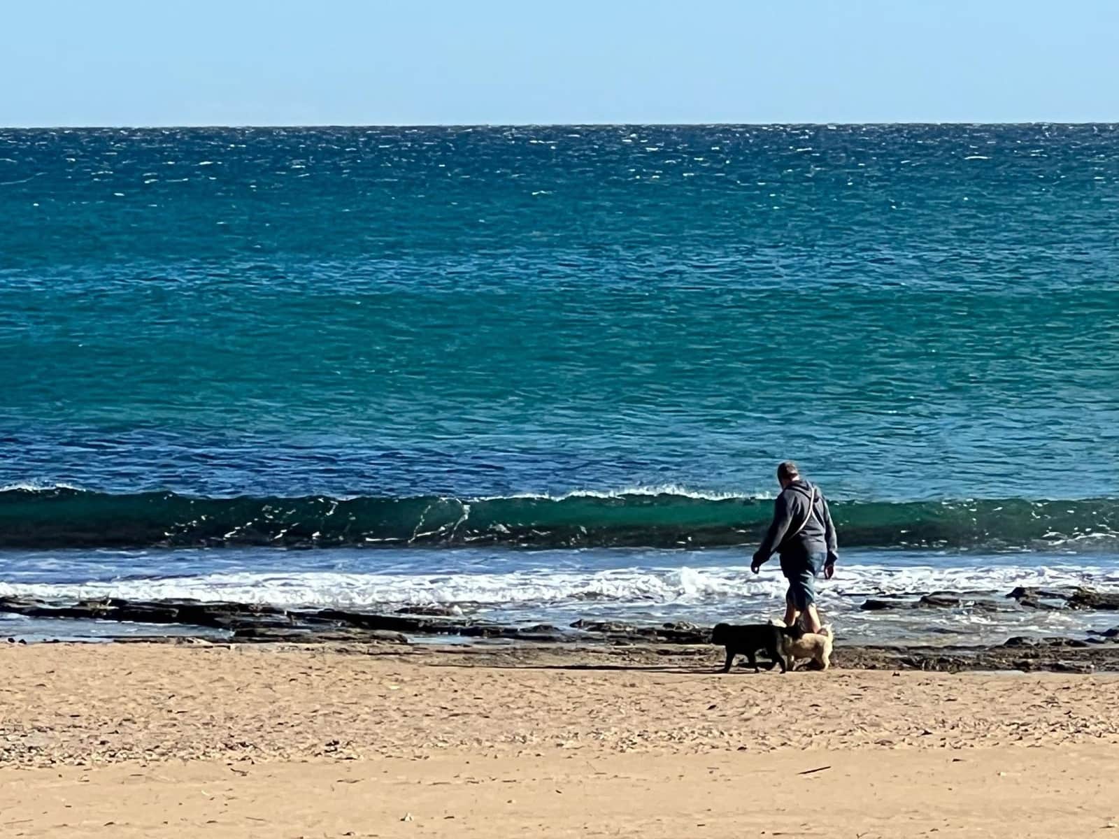 3 quarto Moradia em Banda para venda em La Mata - 324 000 € (Ref: 9462236)