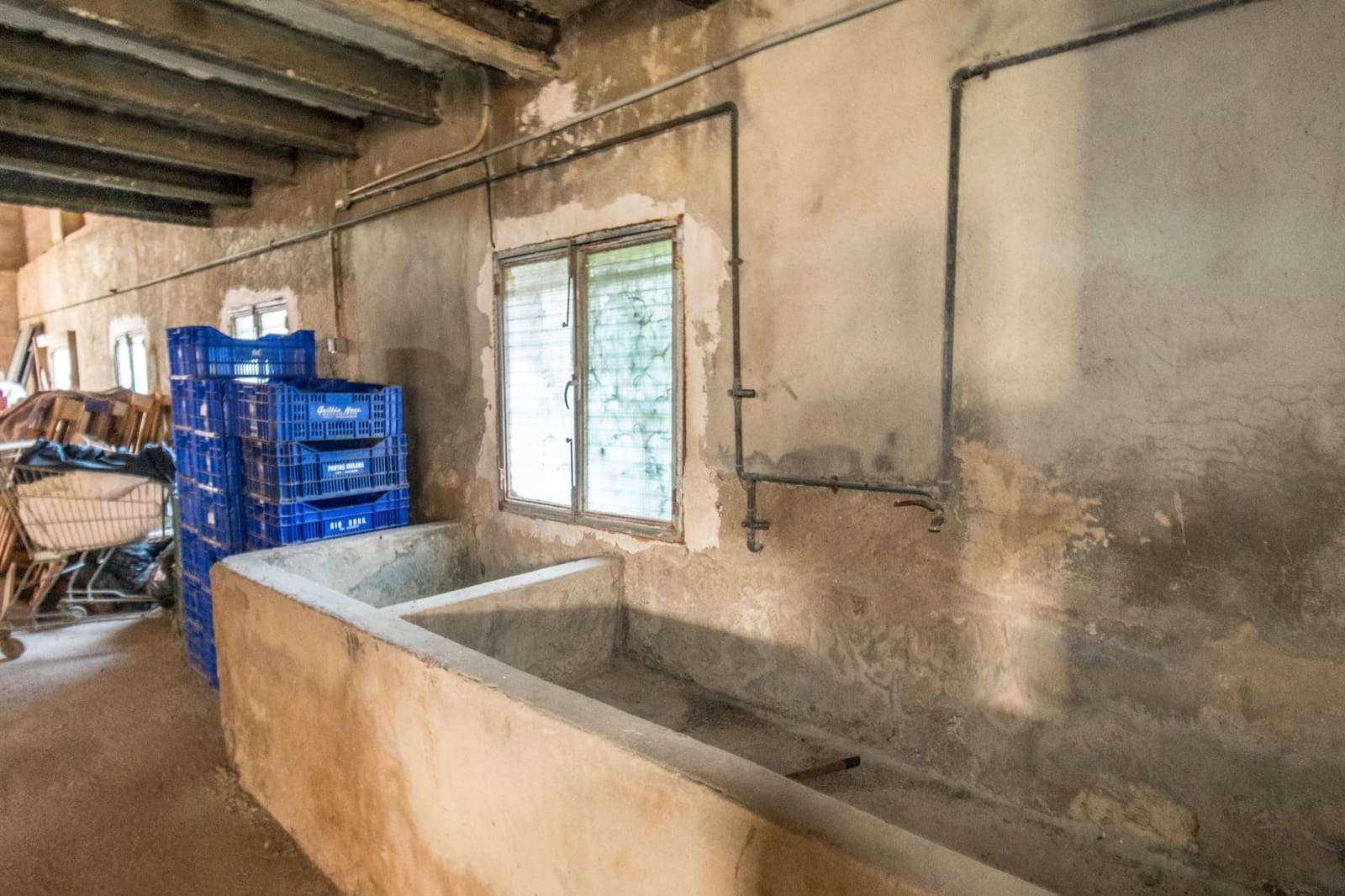 Azienda in vendita in Benejuzar - 79.900 € (Rif: 9462269)