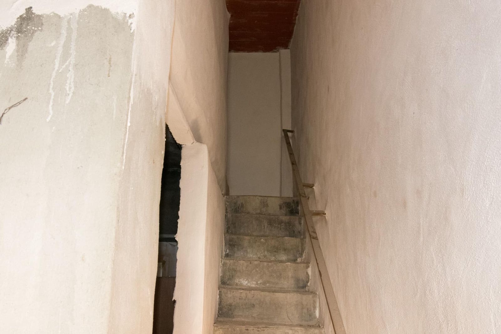 Azienda in vendita in Benejuzar - 79.900 € (Rif: 9462269)