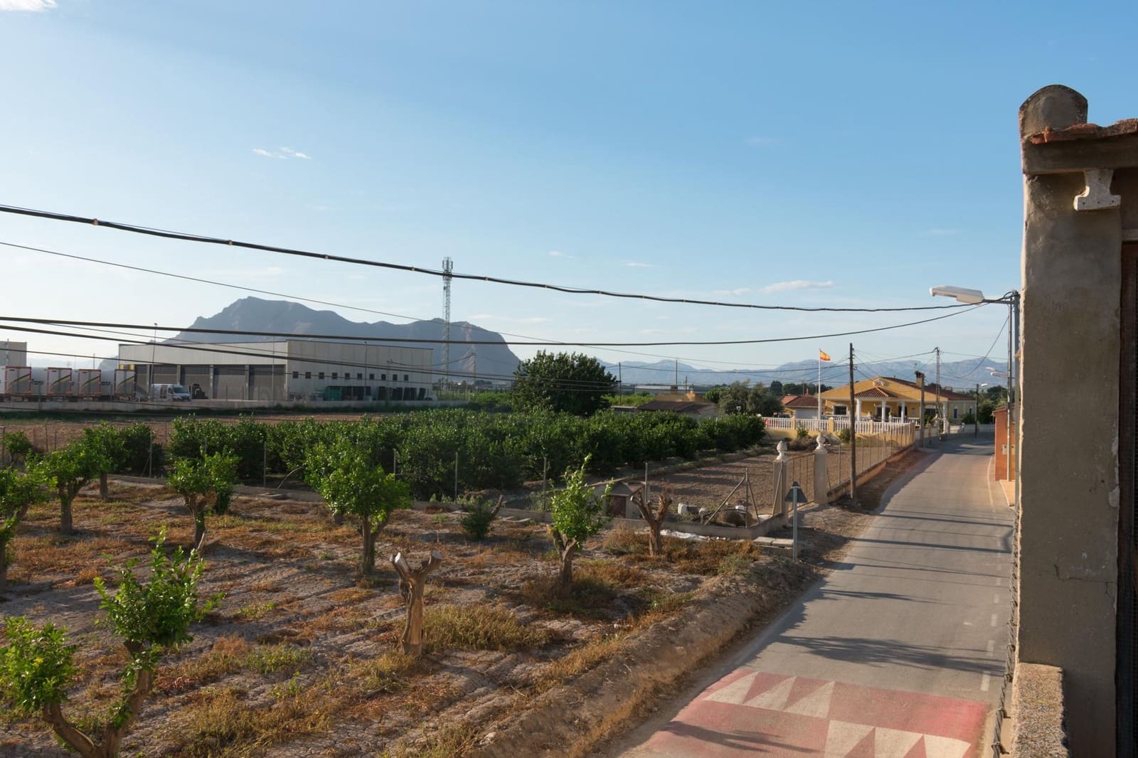 Azienda in vendita in Benejuzar - 79.900 € (Rif: 9462269)