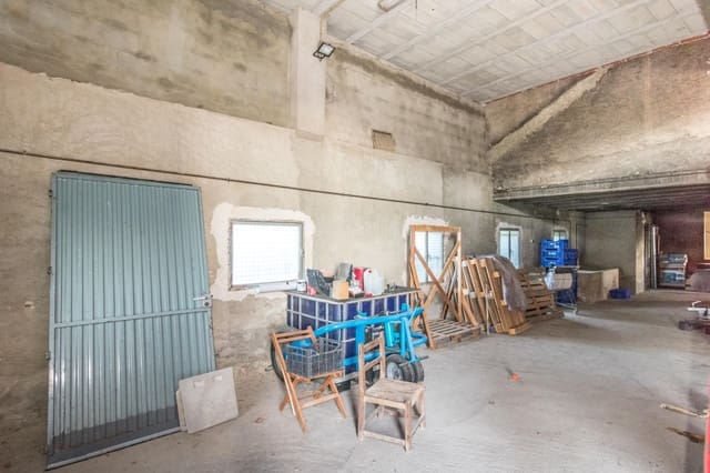 Azienda in vendita in Benejúzar - 79.900 € (Rif: 9462269)