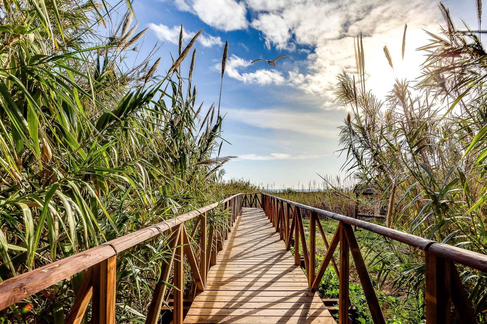 3 bedroom Villa for sale in San Fulgencio with pool - € 230,000 (Ref: 9462272)