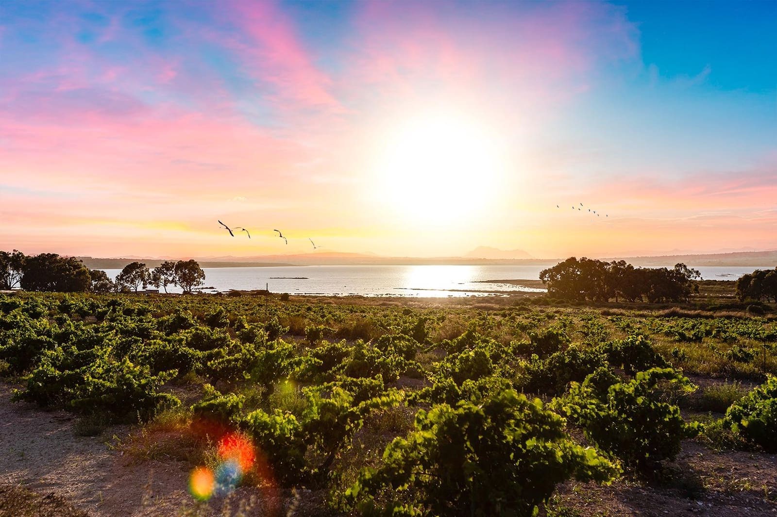 1 camera da letto Appartamento in vendita in San Luis - 75.500 € (Rif: 9462305)