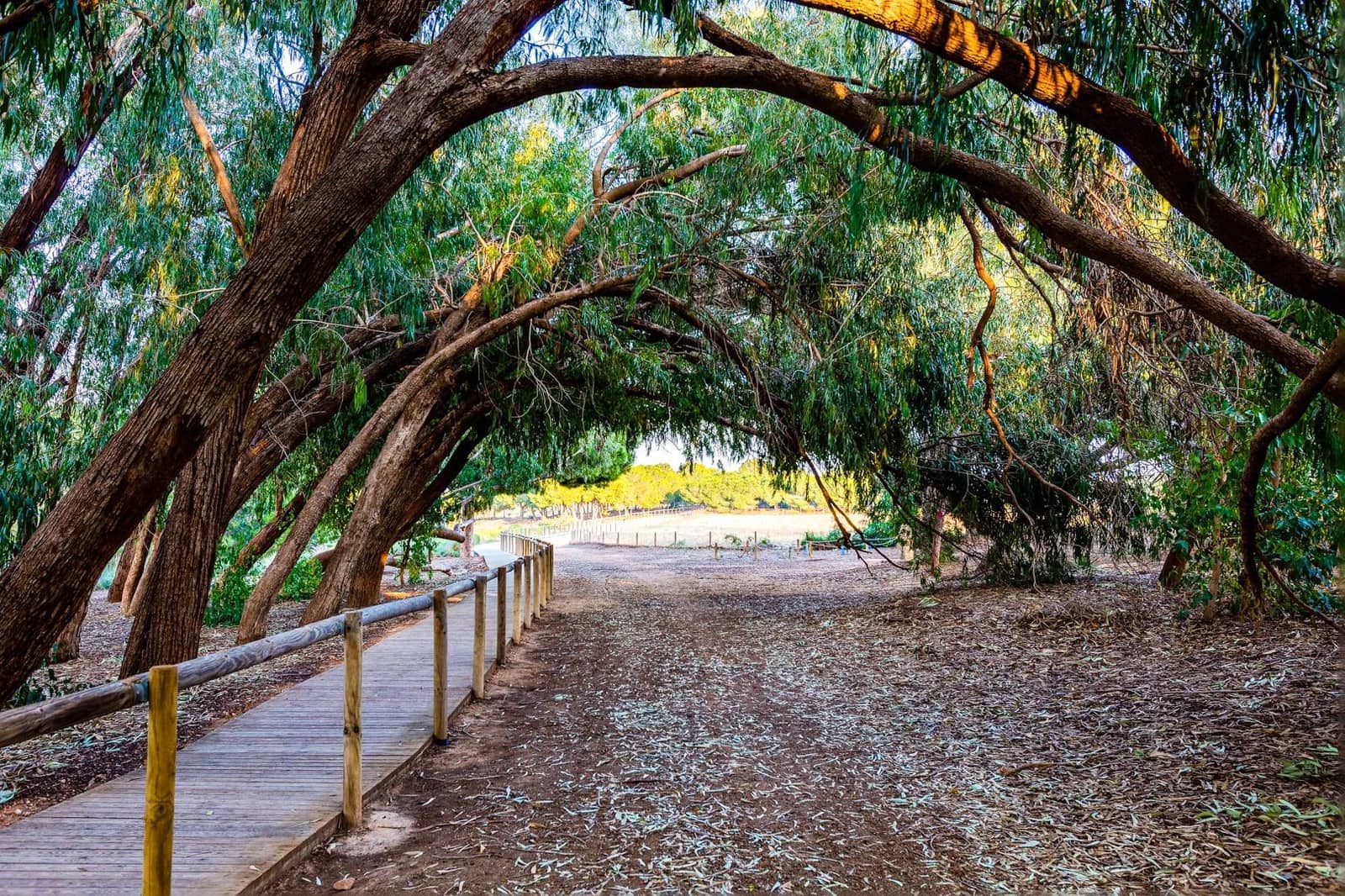 1 camera da letto Appartamento in vendita in San Luis - 75.500 € (Rif: 9462305)