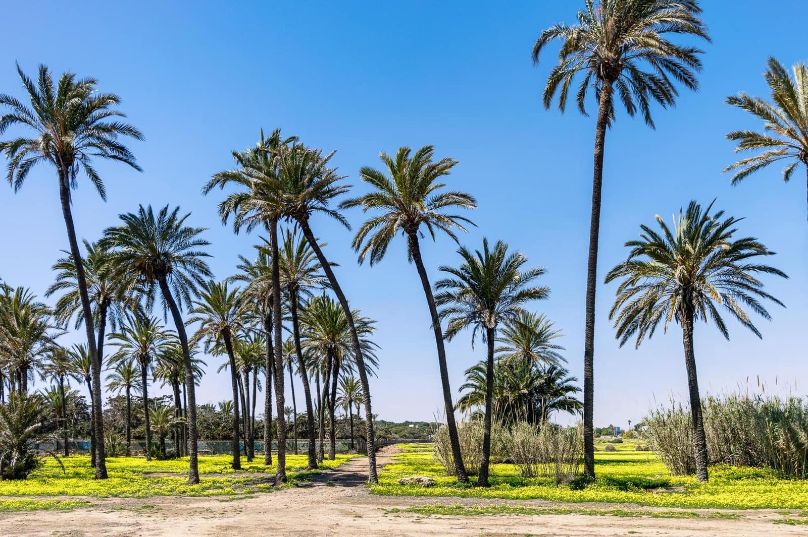 3 bedroom Flat for sale in La Veleta with pool - € 194,900 (Ref: 9462330)