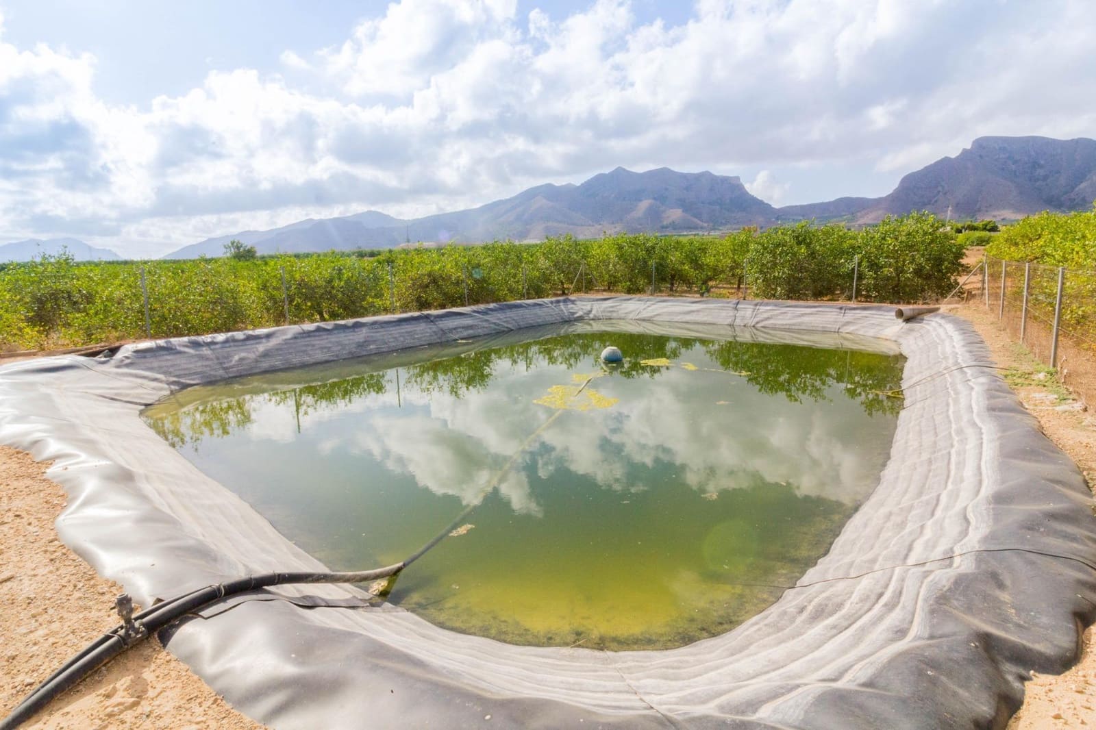 4 bedroom Finca/Country House for sale in La Matanza with pool - € 349,000 (Ref: 9462578)