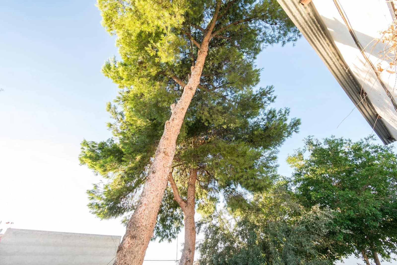 5 chambre Local Commercial à vendre à Redovan - 299 900 € (Ref: 9462582)