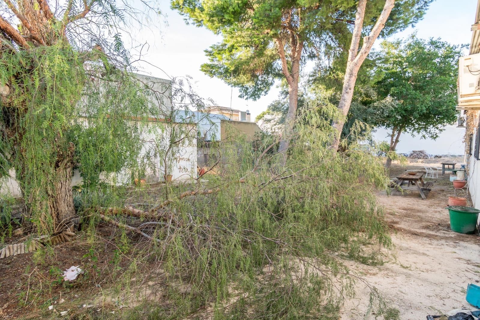 5 chambre Local Commercial à vendre à Redovan - 299 900 € (Ref: 9462582)