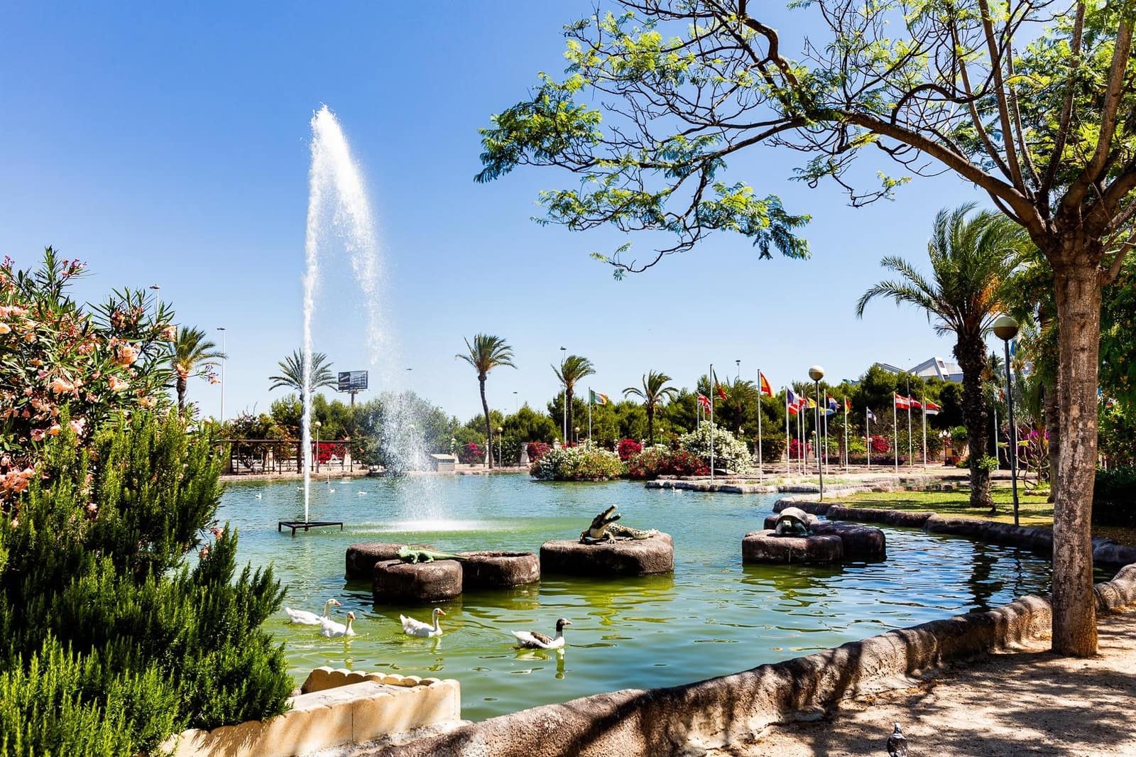 Studio for sale in Torrevieja with pool - € 82,990 (Ref: 9533760)